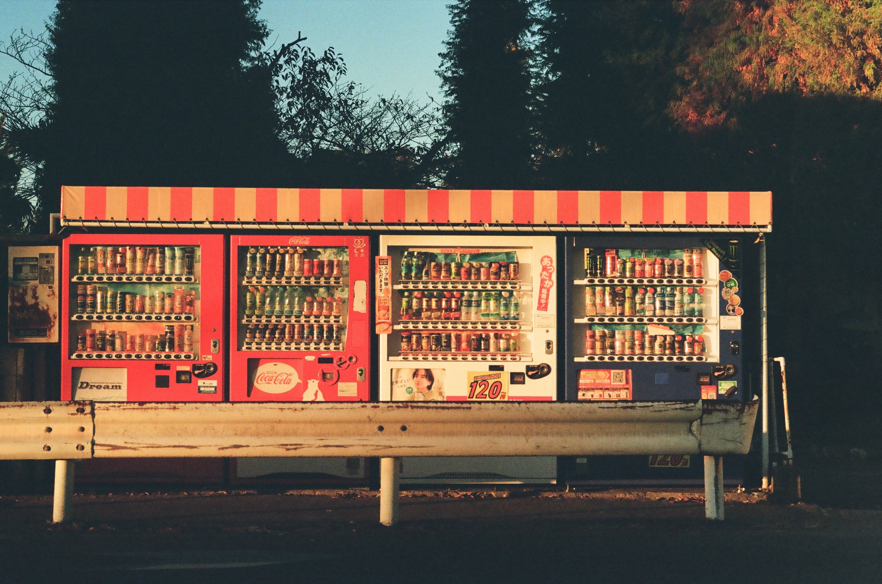 作例あり】Kodak UltraMax 400 36枚撮り カラーネガ35mmフィルム 作例あり】Kodak UltraMax 400 36枚撮り カラーネガ35mmフィルム