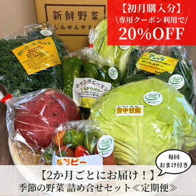 ≪定期便≫【2か月ごとにお届け！】JGAP認証農場発 "季節の野菜"詰め合せセット(選べるおまけ付き)