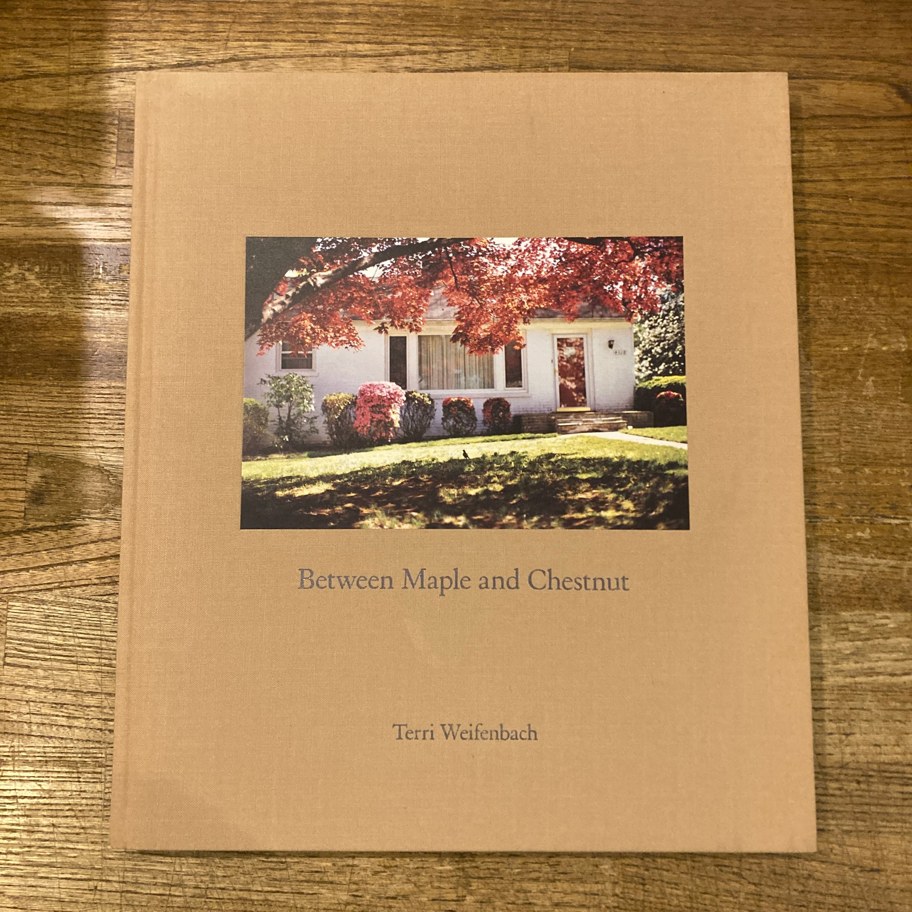 Between Maple and Chestnut / Terri Weifenbach テリ・ワイフェン