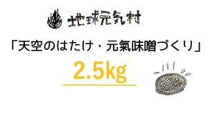 天空のはたけ「元氣味噌づくり」（2.5㎏）・参加申込