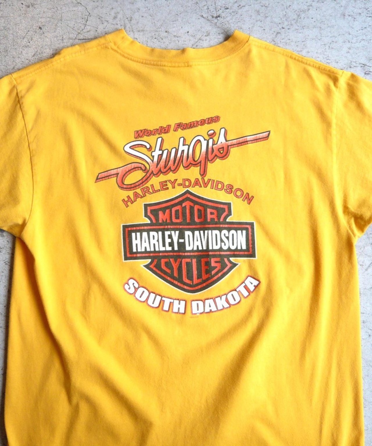 00s HARLEY-DAVIDSON ハーレーダビッドソン STURGIS Tシャツ