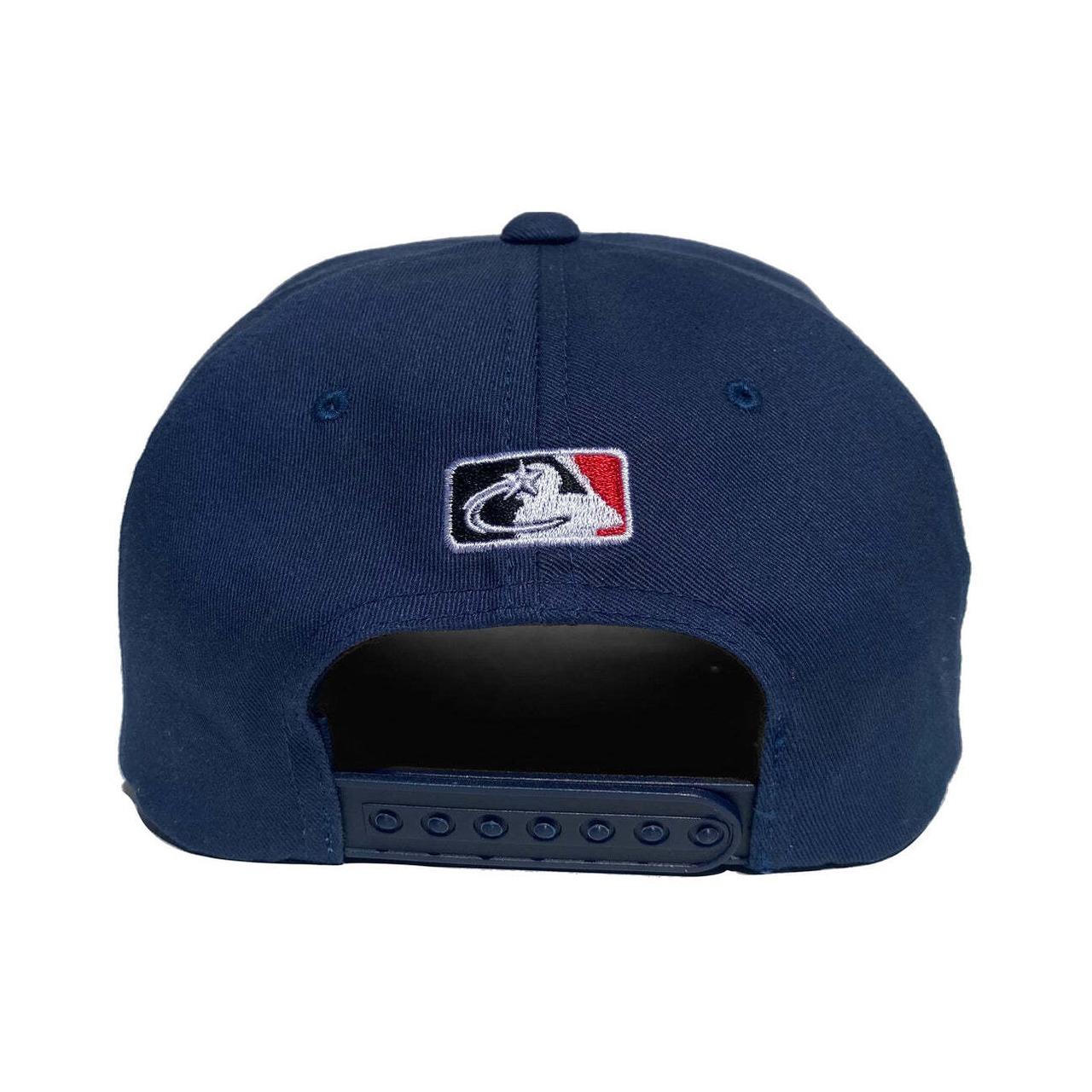 HOMEWARD BOUND Spinny Head Hat
