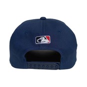 HOMEWARD BOUND Spinny Head Hat