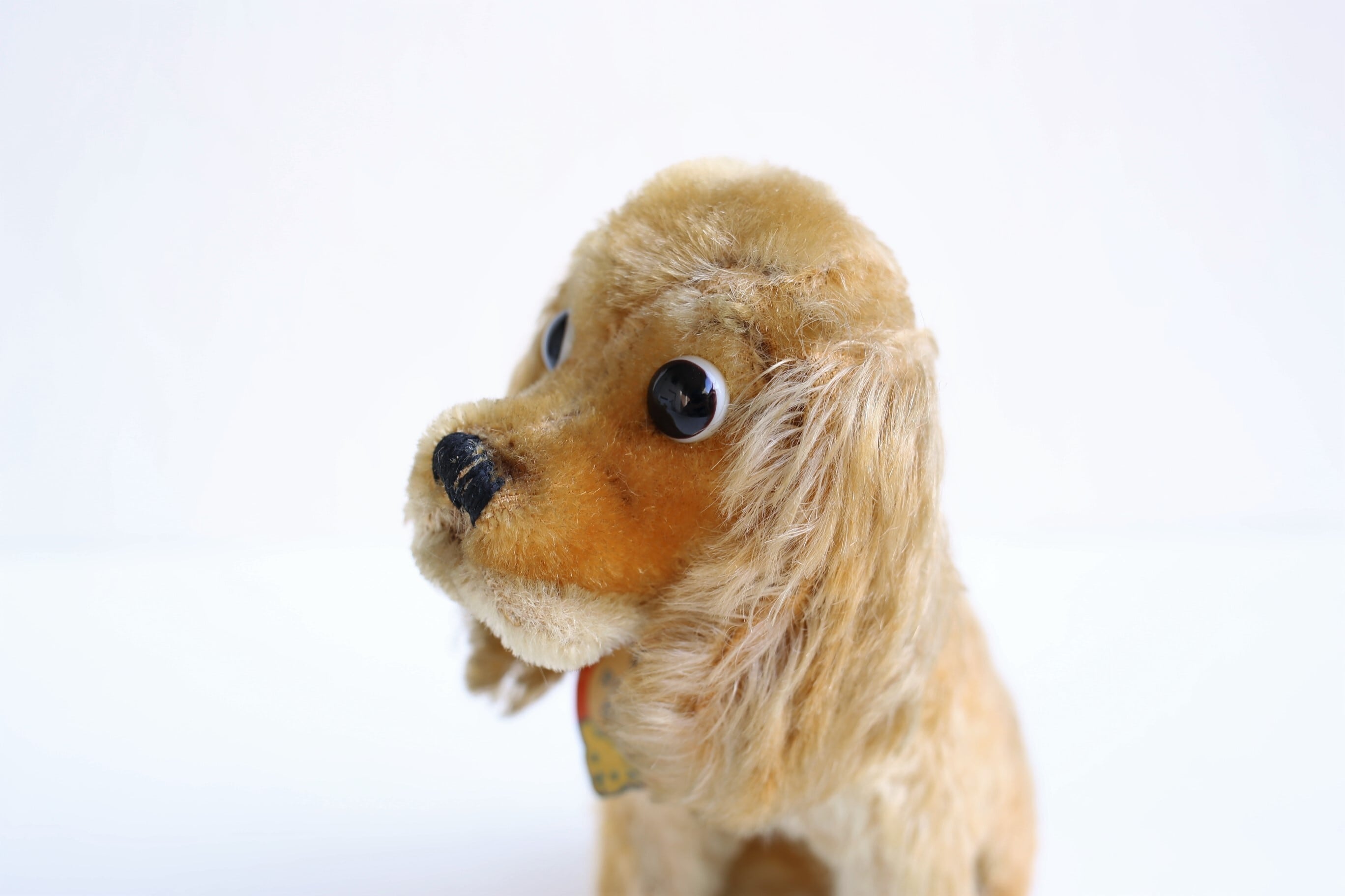 ドイツ ヴィンテージ Steiff シュタイフ コッカースパニエル『REVUE SUSI』17㎝(カタログ表記) N-01411