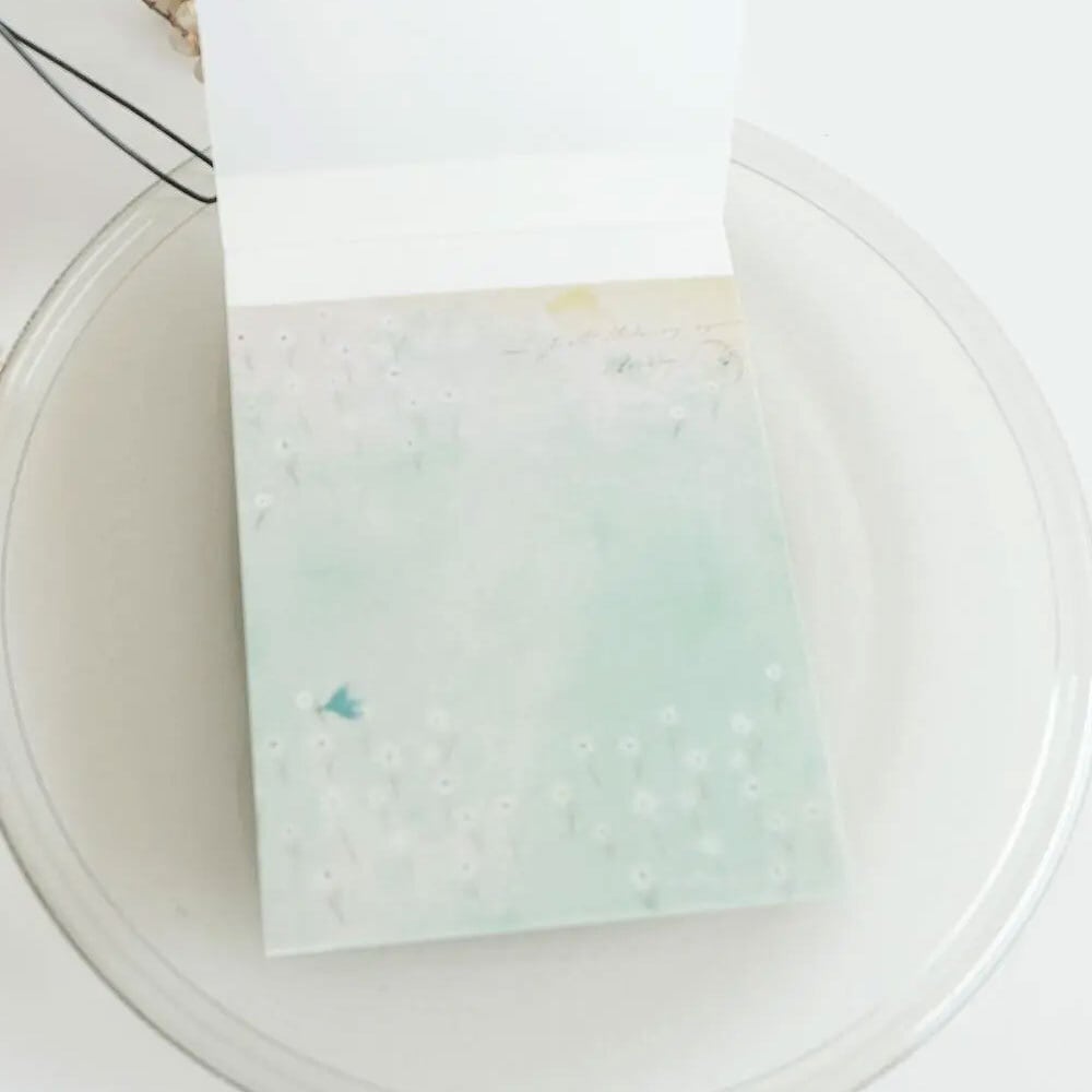 ヨハク | hacohalu 紙雑貨・文具専門店