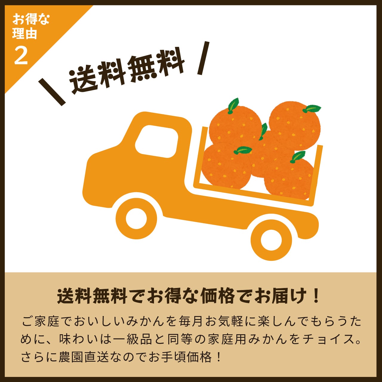 sea♡様明日 発送 みかん・カンキツ定期便5kg｜和歌山県下津町の藤原農園から旬のみかん