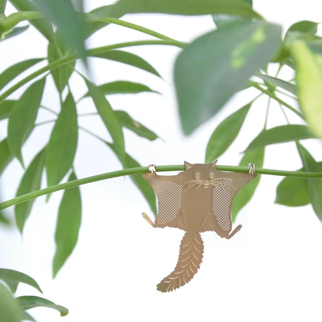 Plant Animal Flying Squirrel モモンガ ムササビ