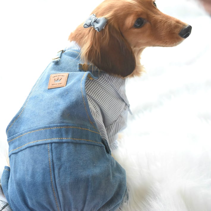 デニムリメイク犬用ワンピース ドッグウェア