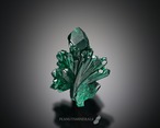 ダイオプテーズ【Dioptase】コンゴ産