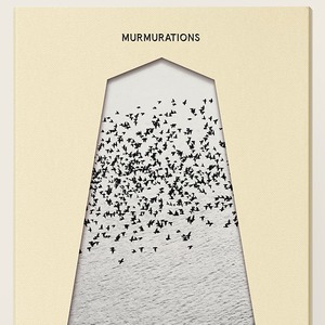 【CD】Sonicbrat - MURMURATIONS（Kitchen. Label）