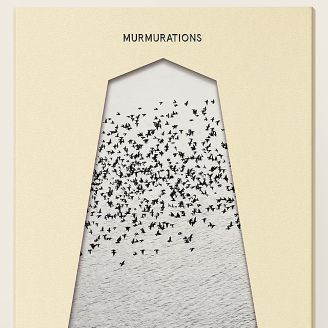 【CD】Sonicbrat - MURMURATIONS（Kitchen. Label）