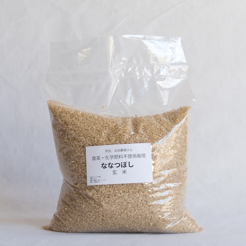 北海道産 玄米 2kg 北海道産 玄米 2kg