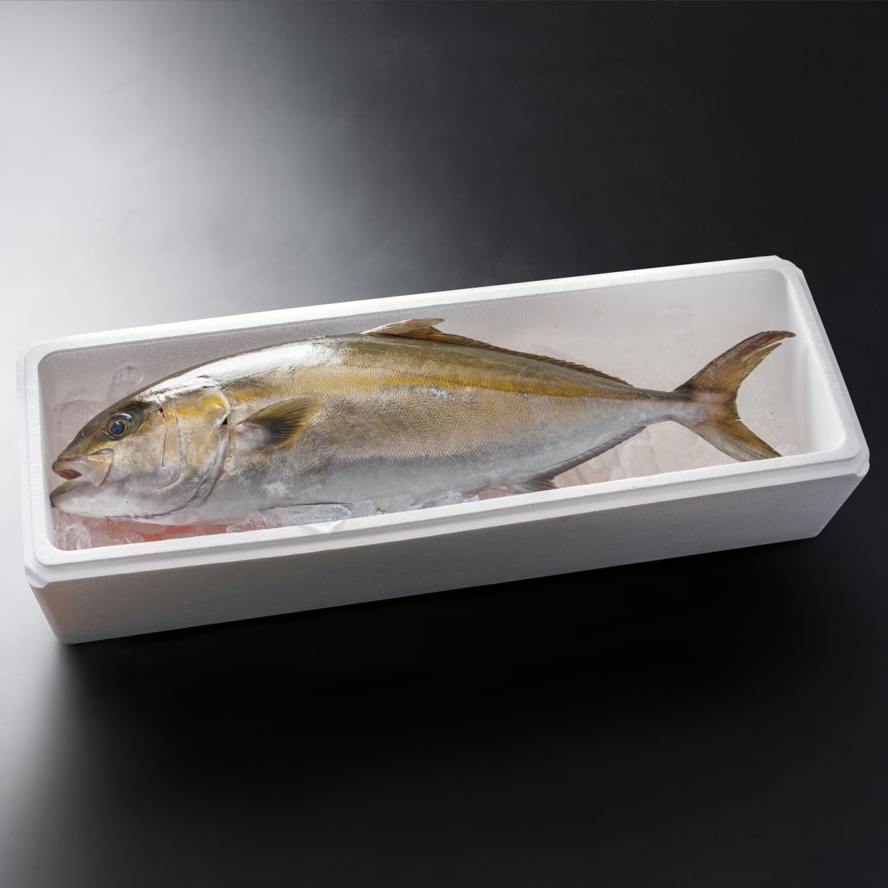 f285df6bcee5d2cd4f61727cf658b0