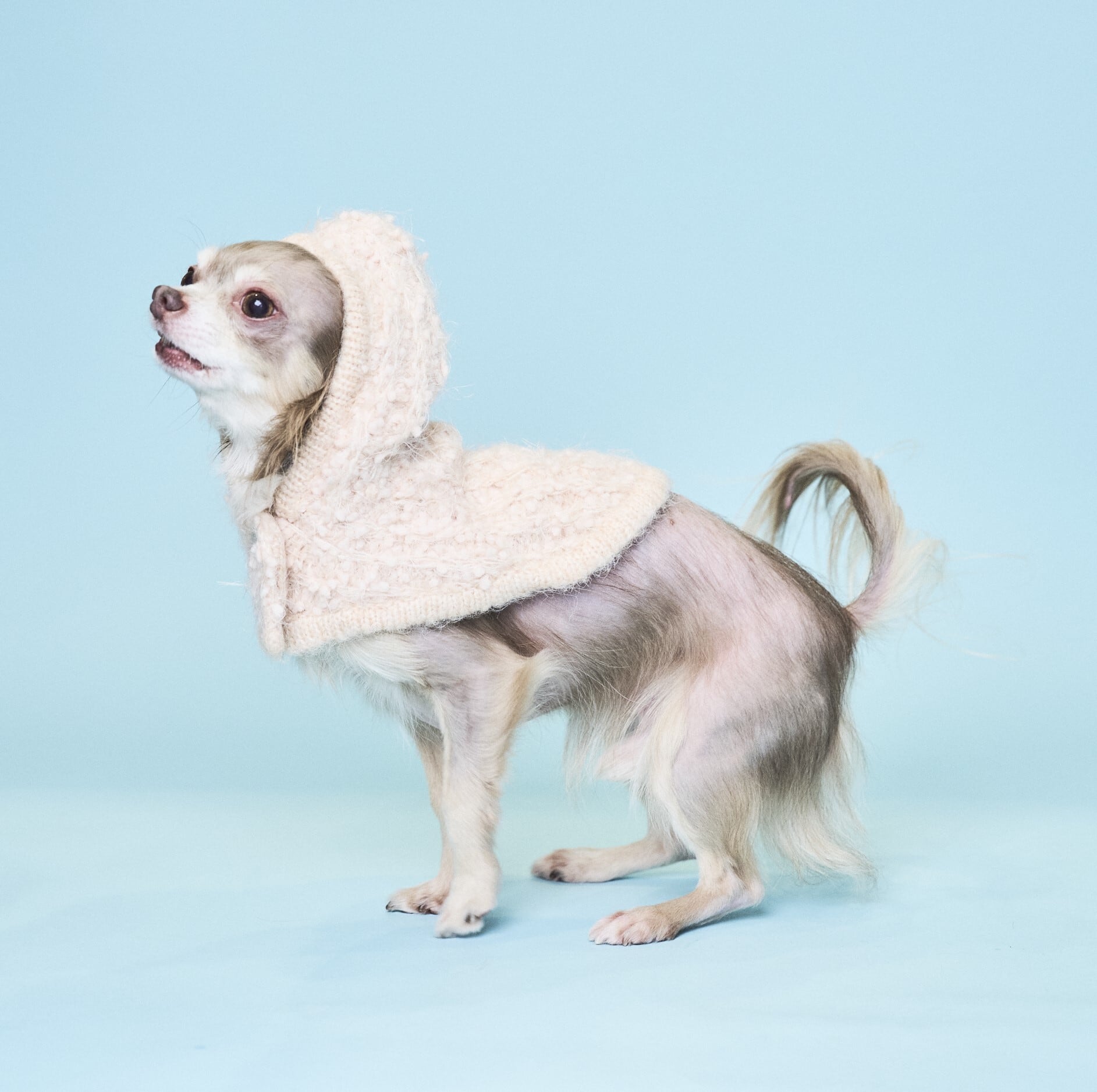 POKO POKO FEATHER PONCHO-PINK