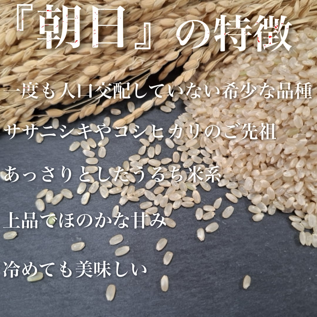 岡山県産 自然栽培 朝日　玄米 10kg 玄米 10kg 自然栽培 朝日米 令和7年産 送料無料 おかやま自然栽培米