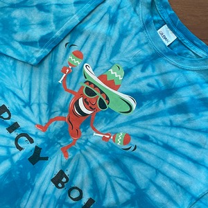 【GILDAN】タイダイ染 Tシャツ サイケ ヒッピー イラスト SPICY BOI XL ビッグサイズ US古着 アメリカ古着