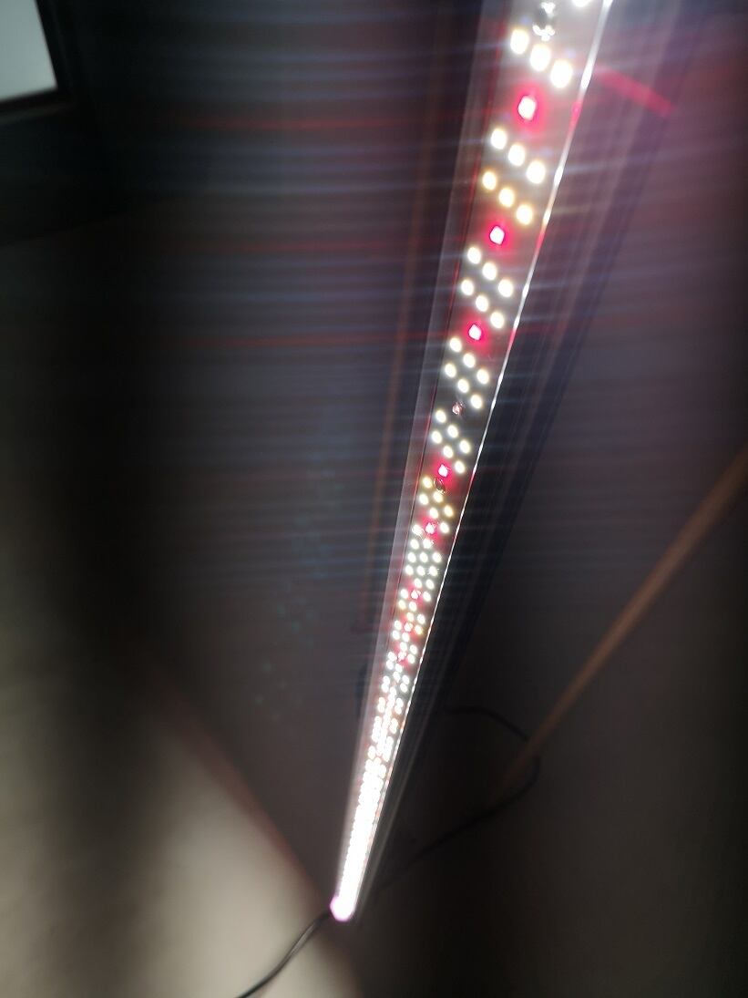 ◇ Helios Green LED シリーズ ／Helios Green LED PUPPY