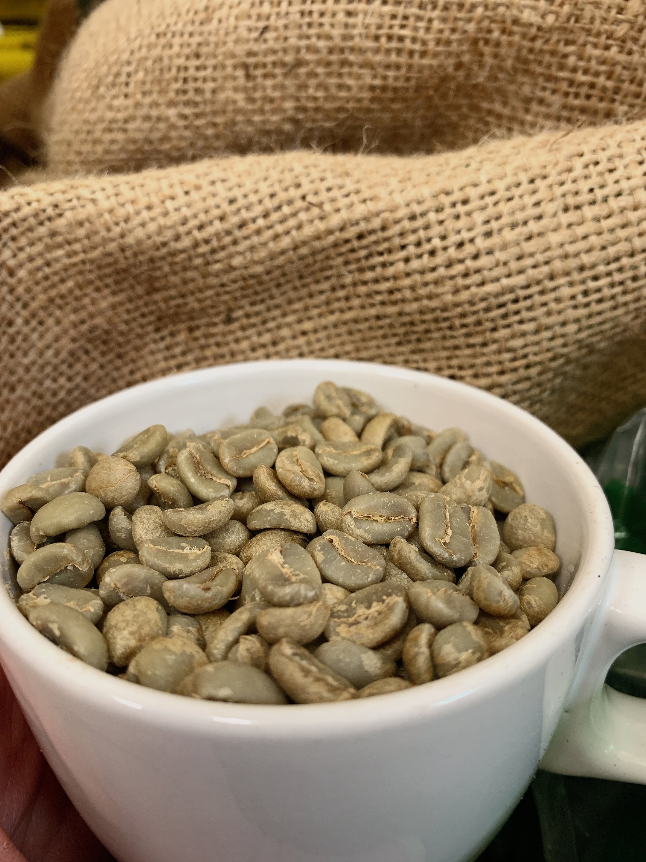 100g浅煎りホンジュラス ゲイシャ