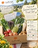【Nara prefecture production】Popular organic vegetable tasting set