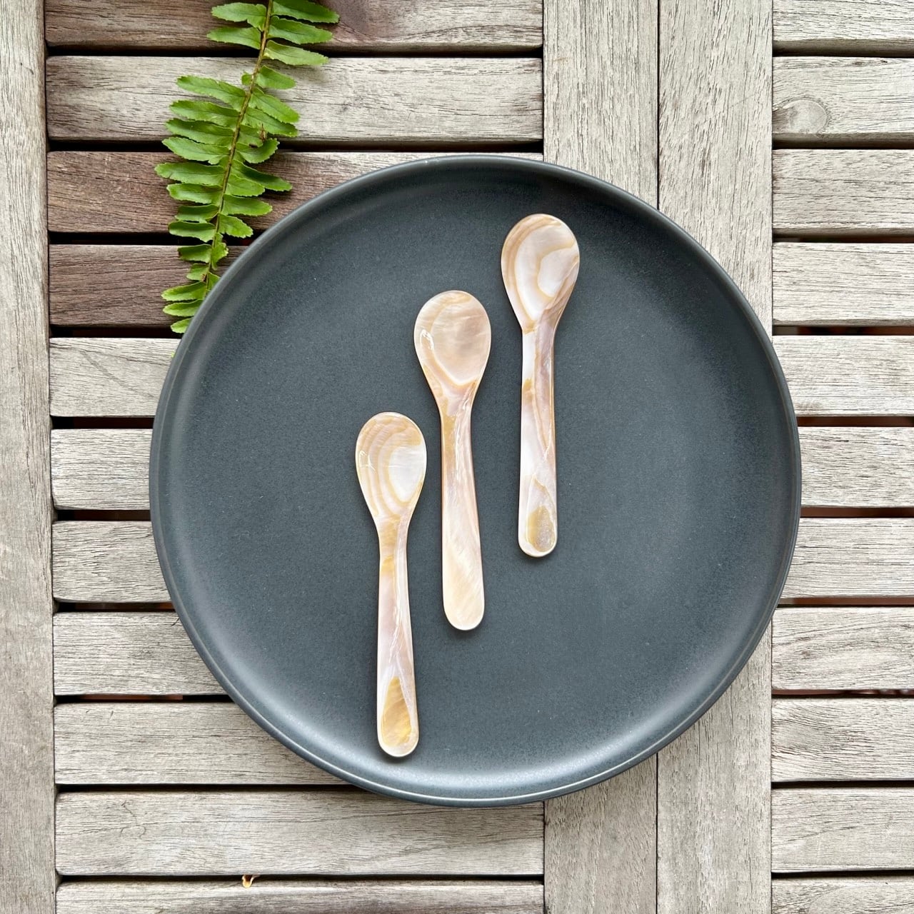 ベトナム雑貨】シェルスプーン：マーブル | Sáng art