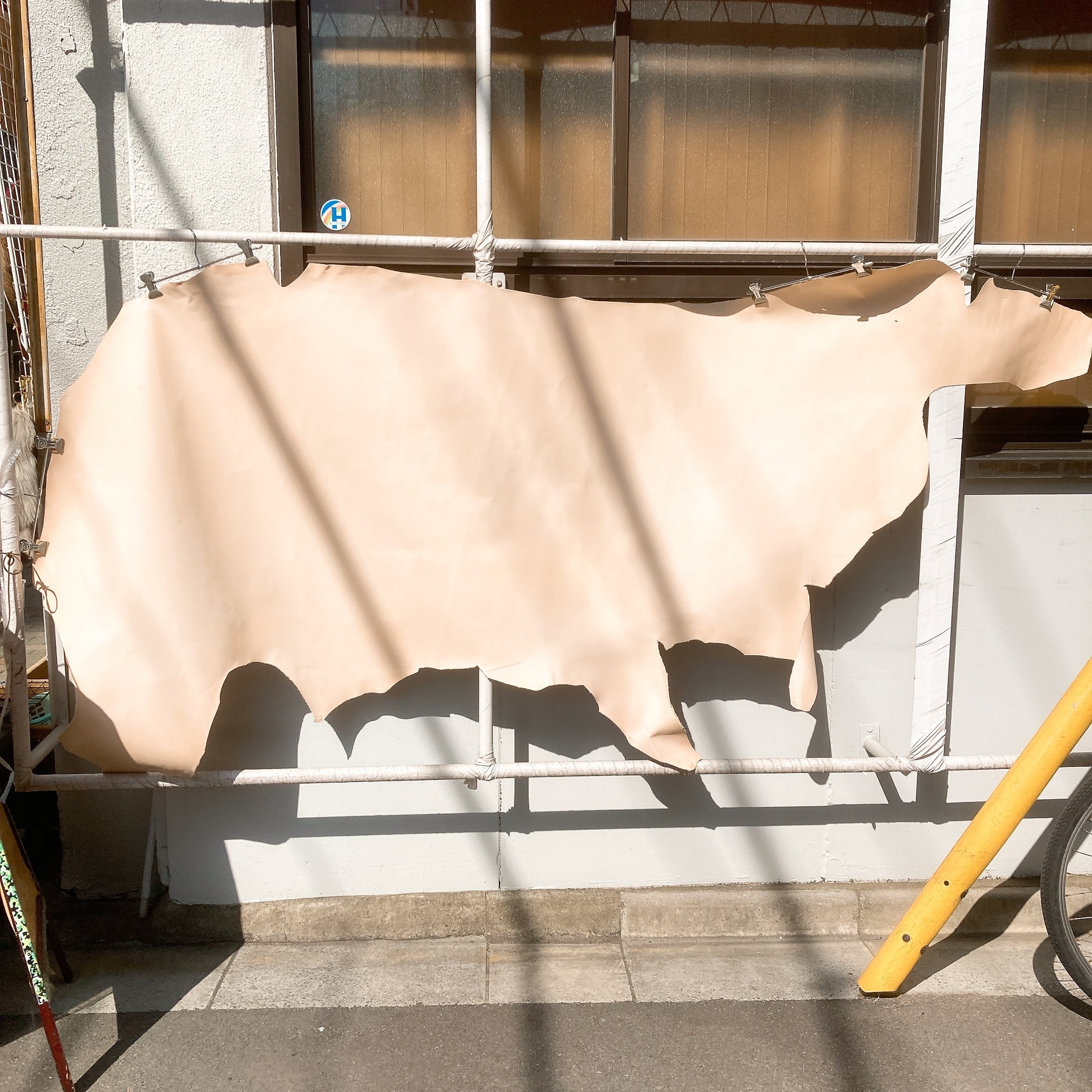 Y-19040121　牛　シボエンボス　203ds　半裁　1.0mm　ゴールドピンク　1枚 ○一点モノ○ 日本 幕末年 JNDA-古54 筑前三分金 FALSE 美品 組合