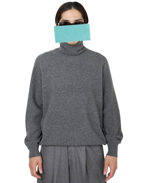 ssstein "EXTRA FINE WOOL KNIT TURTLE NECK LS〔GREY〕"