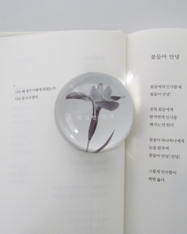 flower/home paper weight