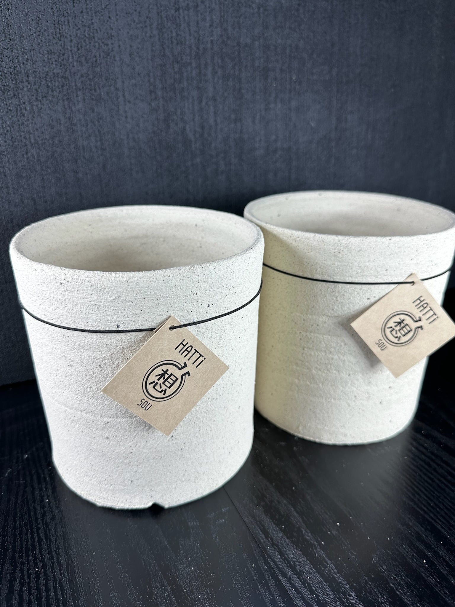 鉢 | T Plants Labo