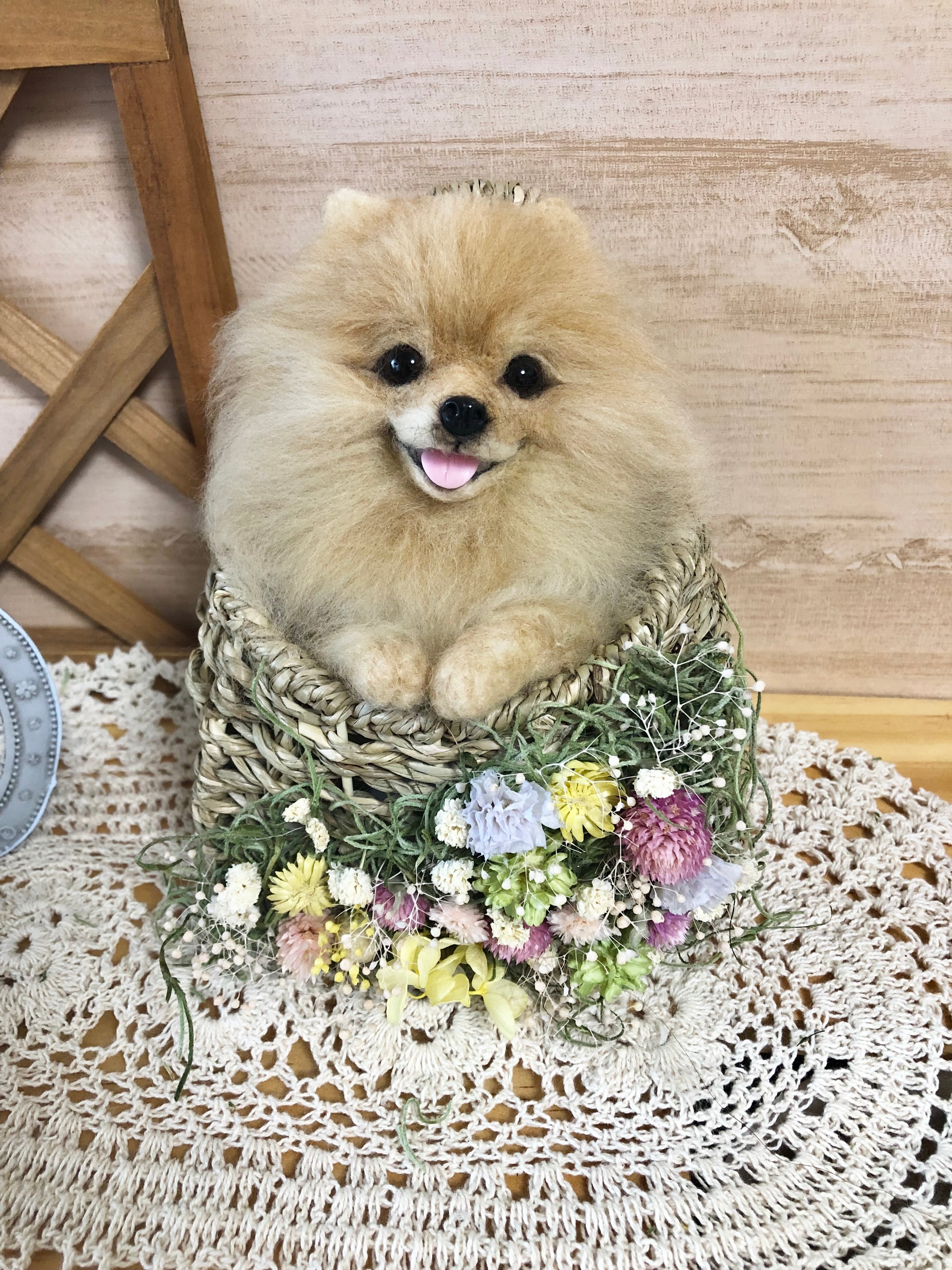 羊毛フェルト　にこにこ　ポメラニアン 全身　肉球あり　白ポメ 羊毛フェルト にこにこ ポメラニアン 全身 肉球あり 白ポメ