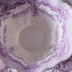 英国 Wileman Foley シダが彩るFernト リオ 1890年代 thumbnail 7