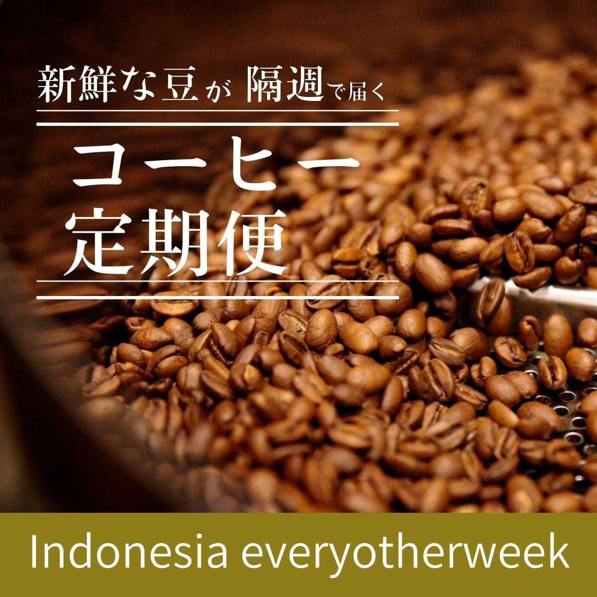 EVERY　WEEK　コーヒー定期便　SpecialtyCoffee蒼～soh～　Indonesia　OTHER