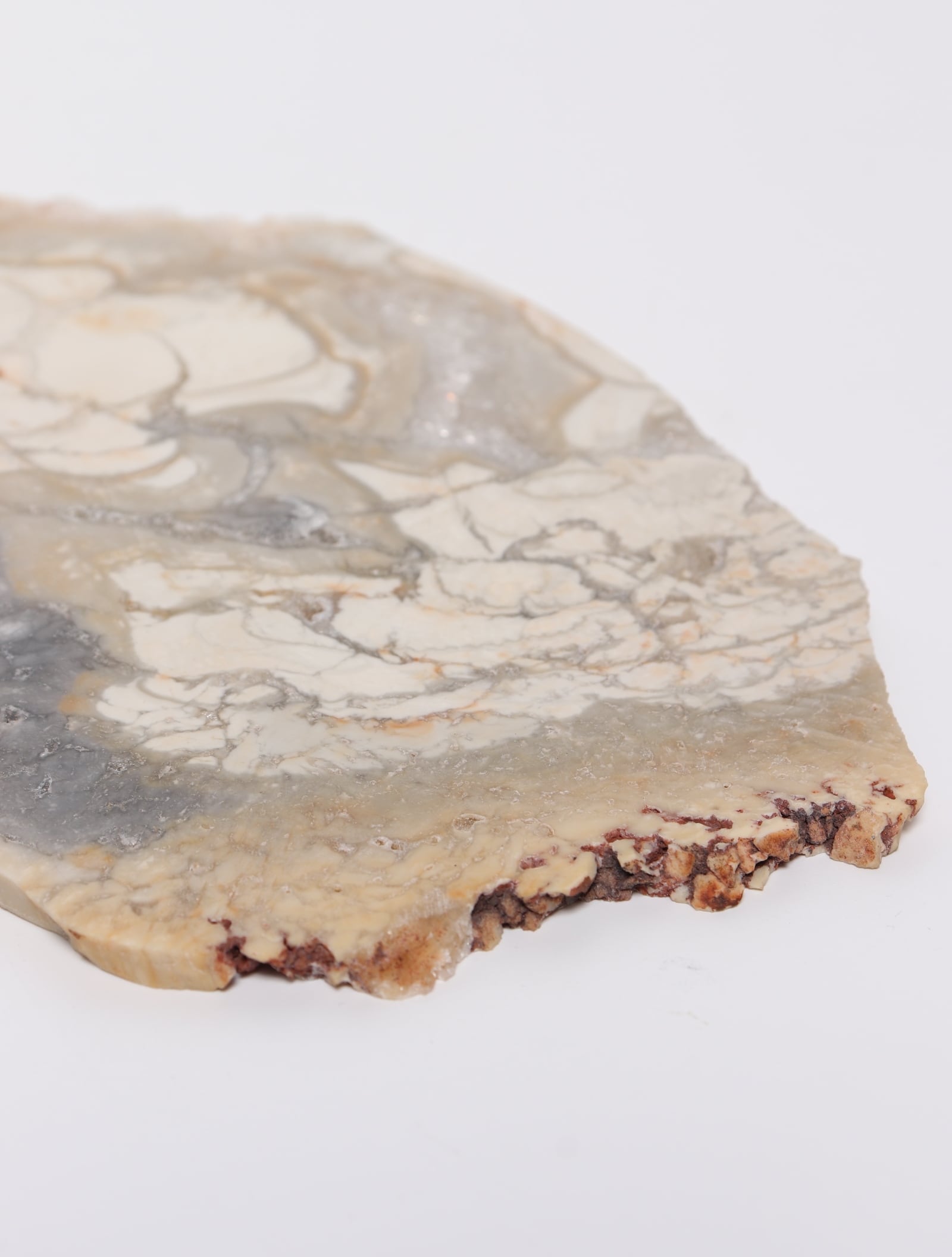 IBIS JASPER SLICE | Madagascar | acenus