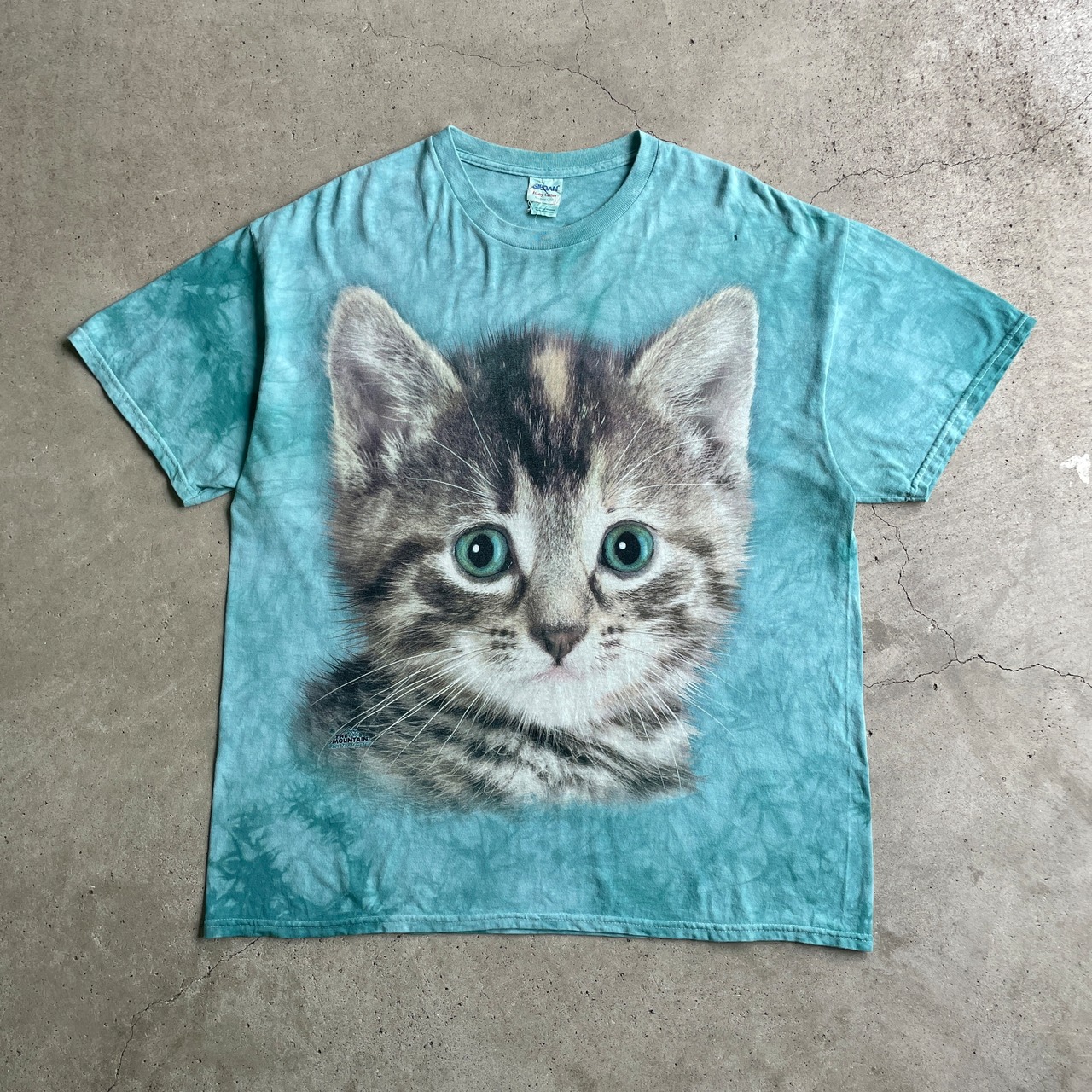 THE MOUNTAIN タイダイ柄 ネコ アニマルプリント Tシャツ メンズXL 