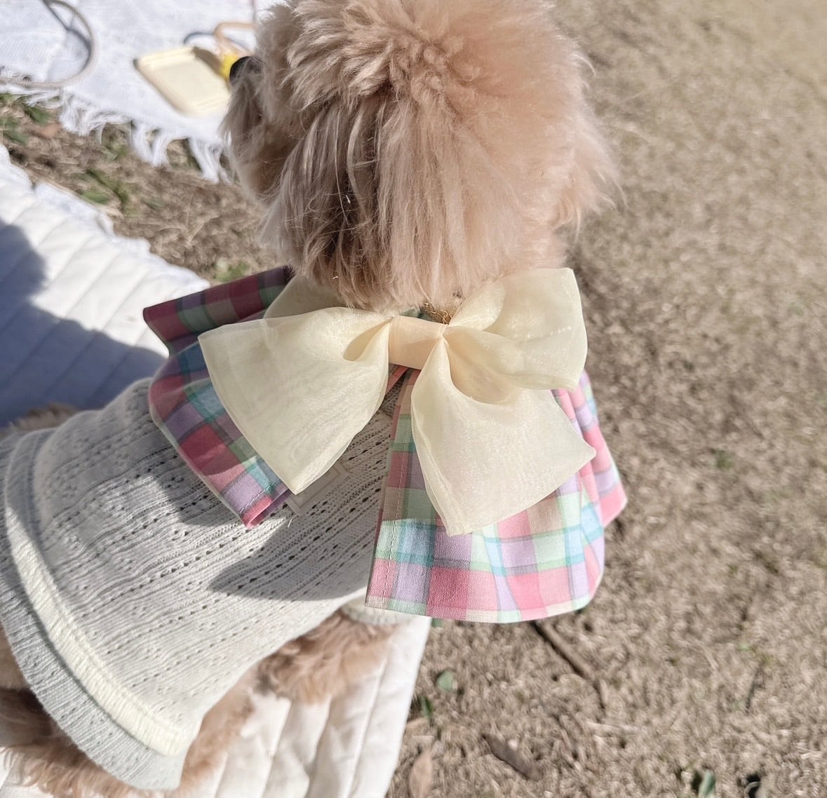 パステルイースターセット