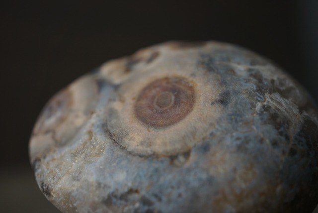 ゴビアゲート Gobi Agate 1682