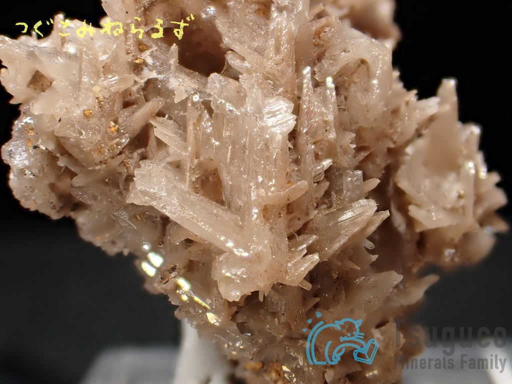 セルサイト 白鉛鉱 Cerussite イラン TM-0040