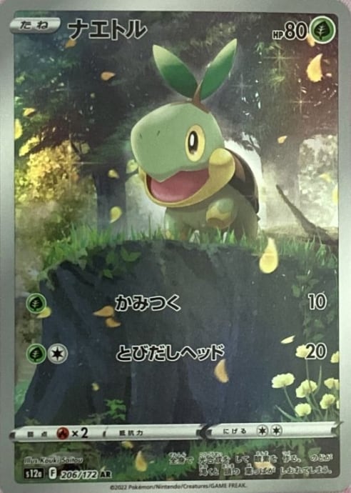 【Bランク】ナエトル(AR)