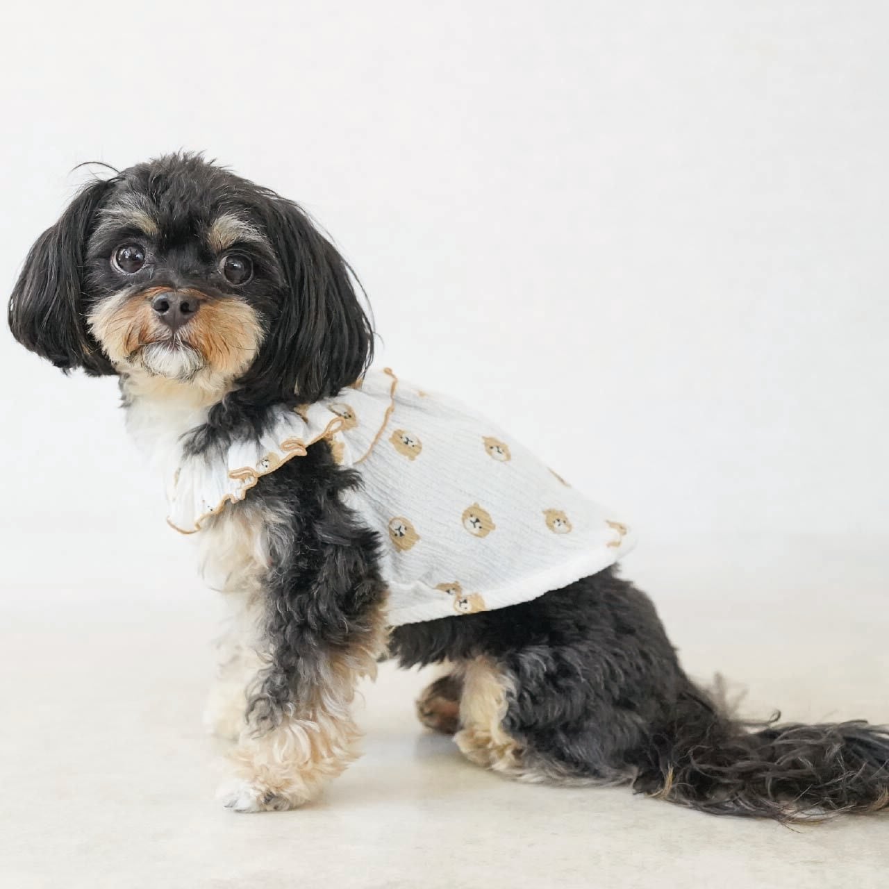 クマ＆チェリー柄シャーリングトップス 韓国 犬服 小型犬 女の子