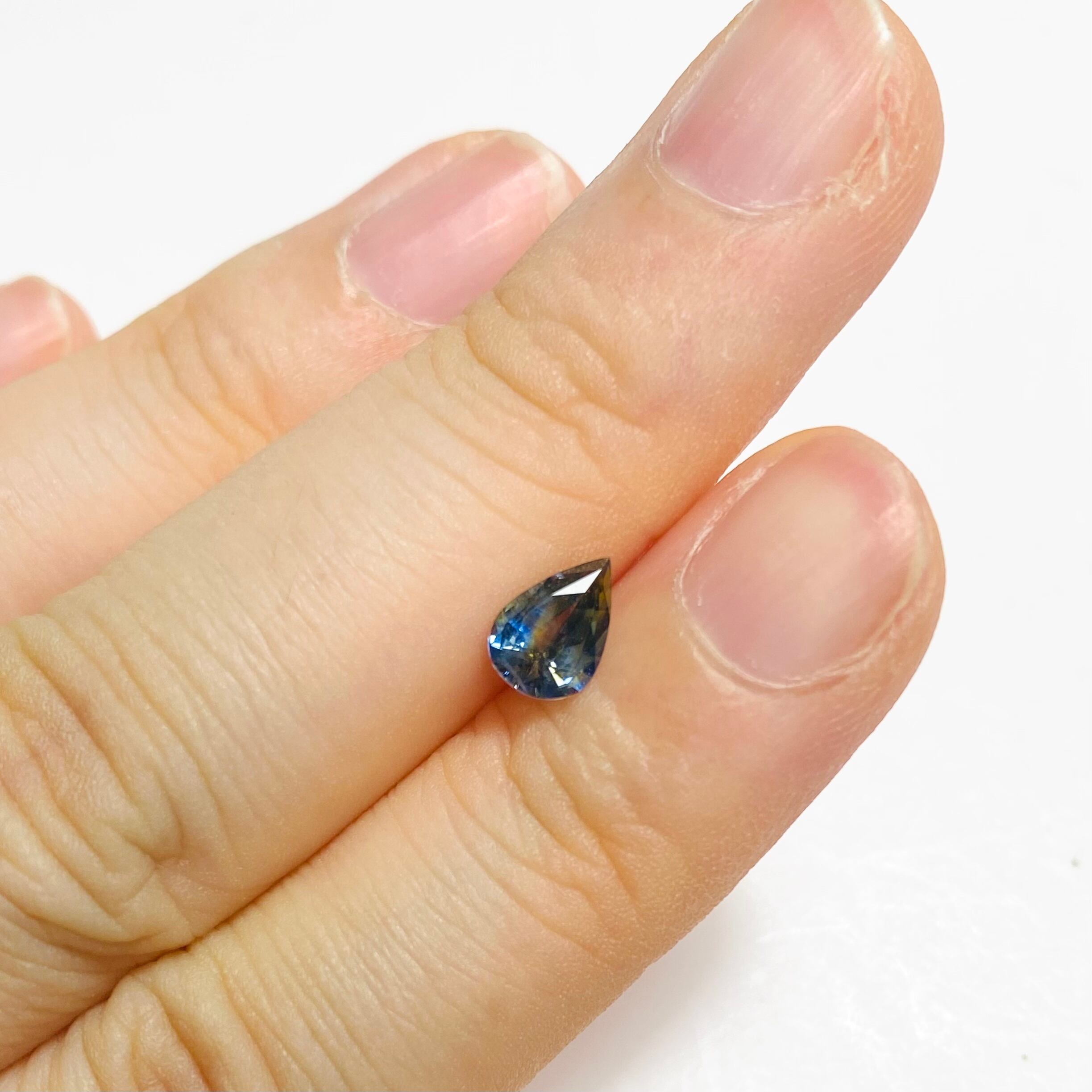 初夏のジャーマンアイリス　サファイア