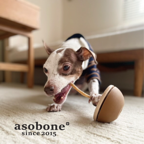 【アキレスの丸のみ防止に！】アソボーン　キャラメル