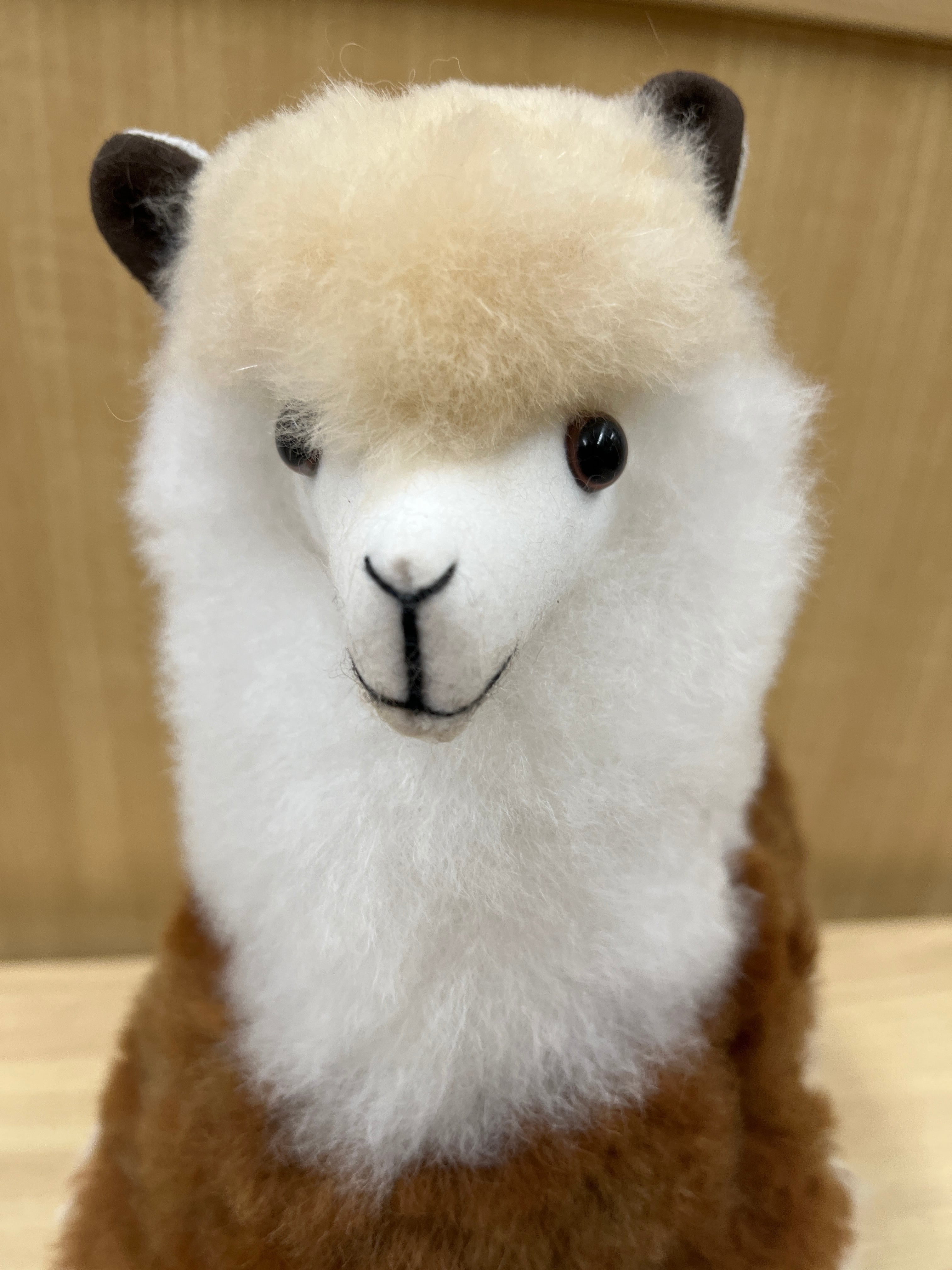ベビーアルパカ人形 大 ミックス☆ | ALPACA WORLD