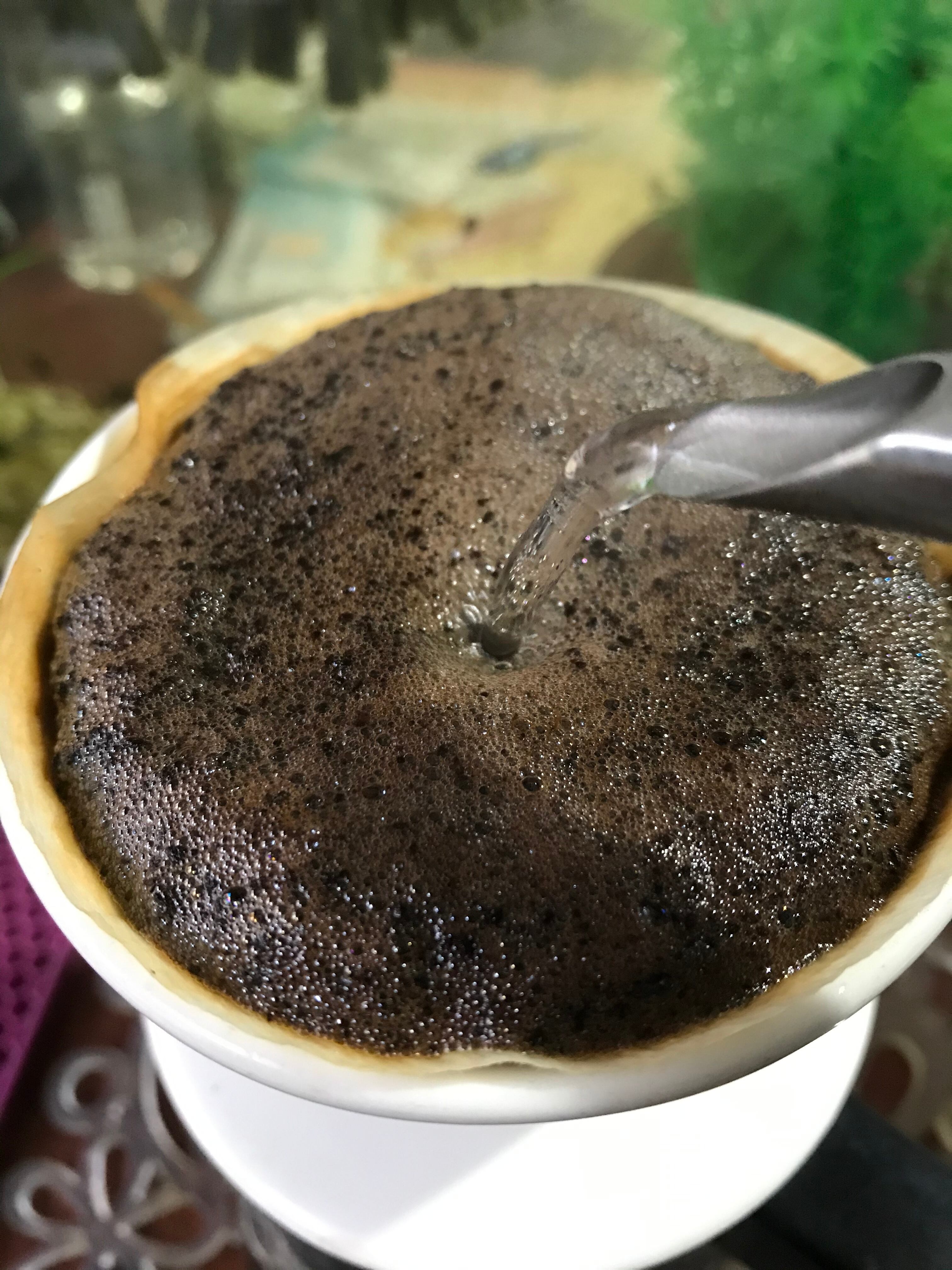 【グアテマラ】 カフェインレス マウンテンウォータープロセス【200g】中深煎り　自家焙煎