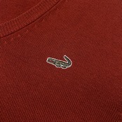 Crocodile クロコダイル ワンポイント刺繍 Vネック ウールニット ベスト サイズ LL /メンズ/テラコッタ系