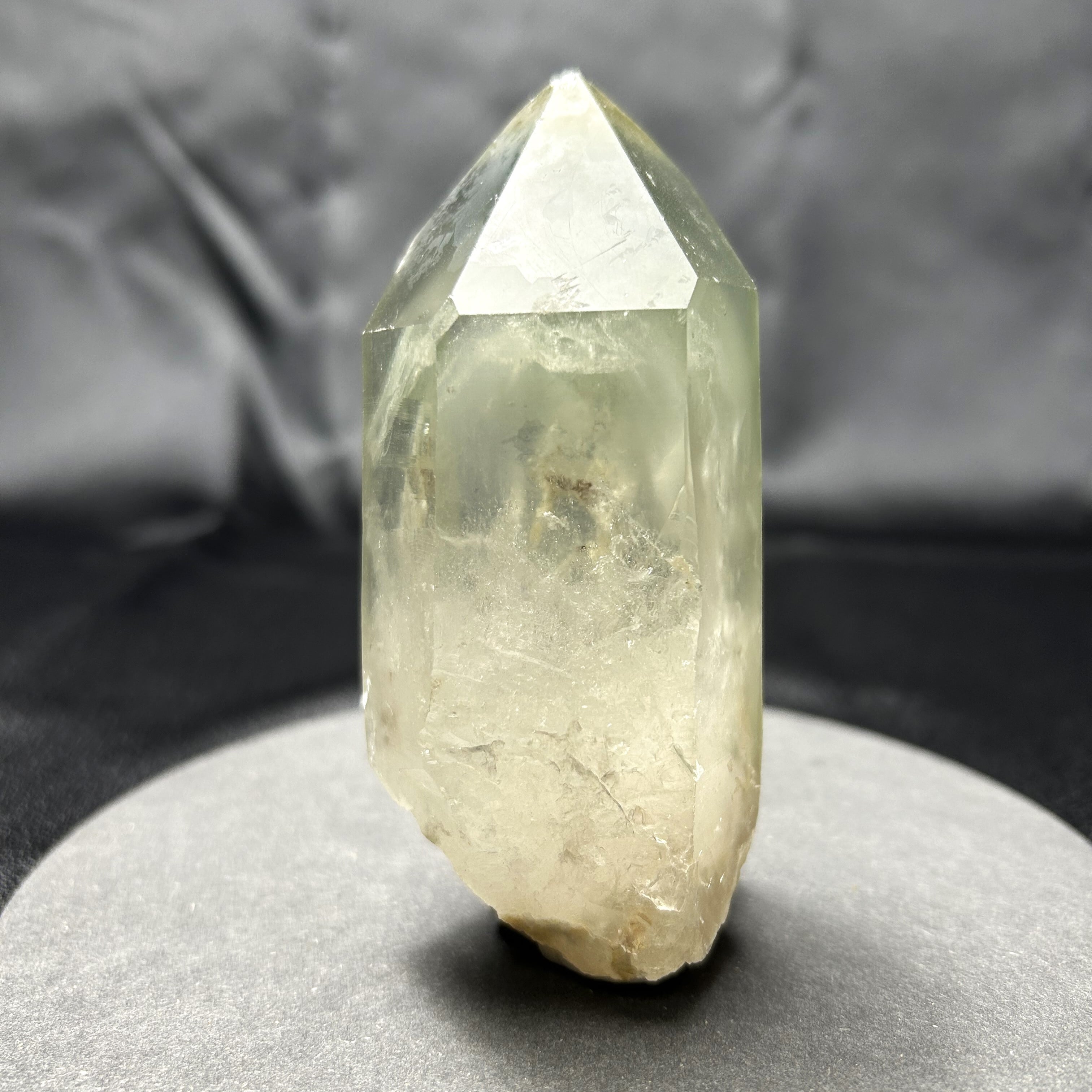 遼寧省産ザリガニの化石・278g（中国産化石標本） | Pay ID