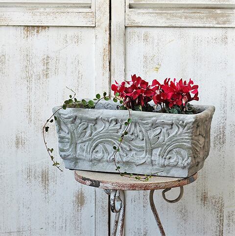 ガーデニング雑貨 | Gardening＆Flower サザンフィールド