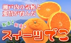 発売期間５月１日～７月　スイーツでこ（不知火、デコポン）大玉サイズ　6個　