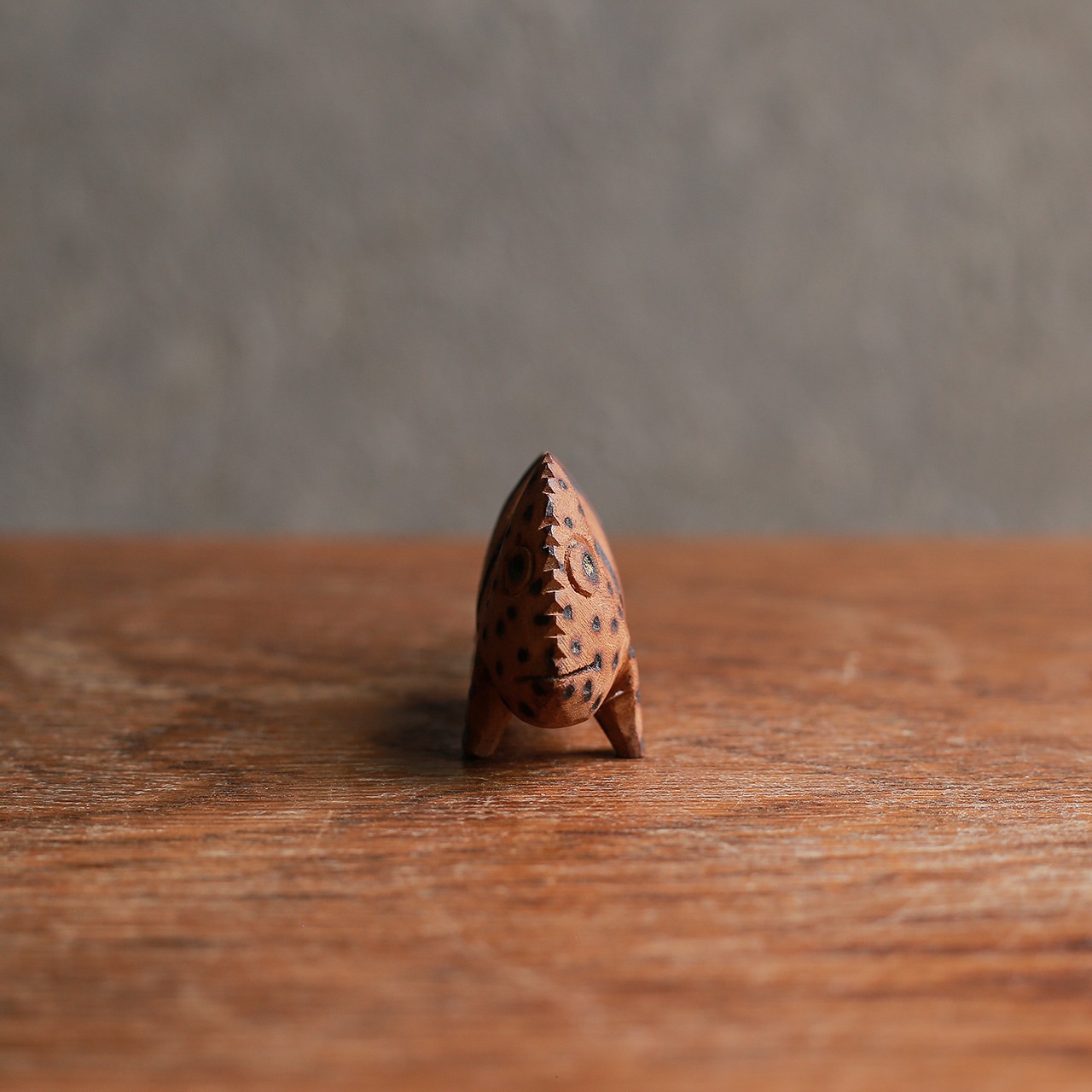 こちらをチラッと見る、小さなカメレオン