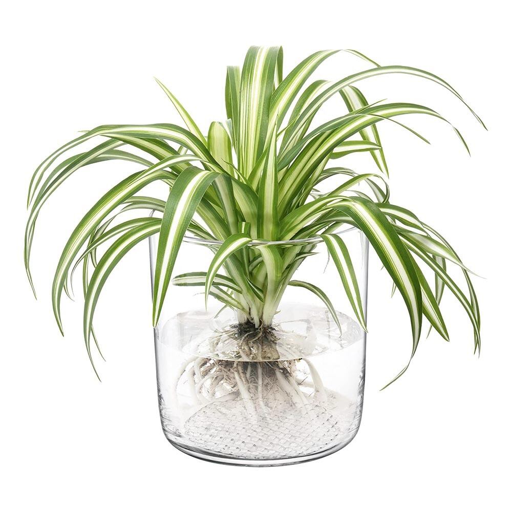 LSA Market マーケット G1673-16-139 LMF03 / エルエスエー フラワーベース プランター 花器 花瓶 & キャンドルランタン