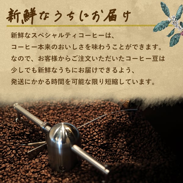 中深煎り】コロンビア パシオンデラ シエラ SP 250g | BESSO COFFEE