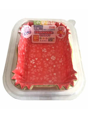 【在庫処分】エムエーパッケージング おかずカップ 抗菌 深めのおかずケース 長四角 特大 クローバー しっかり仕切れる 国産